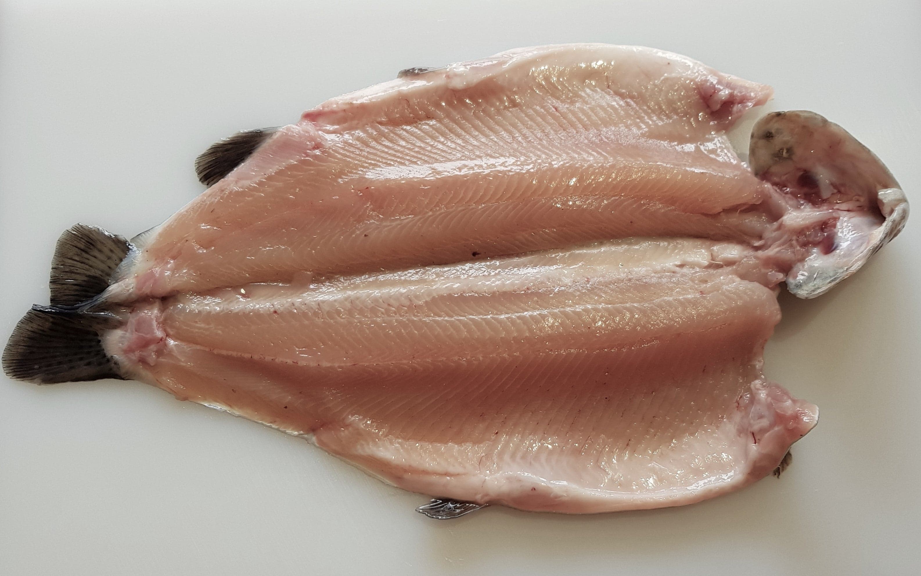Pin Bone In Boned Fillets