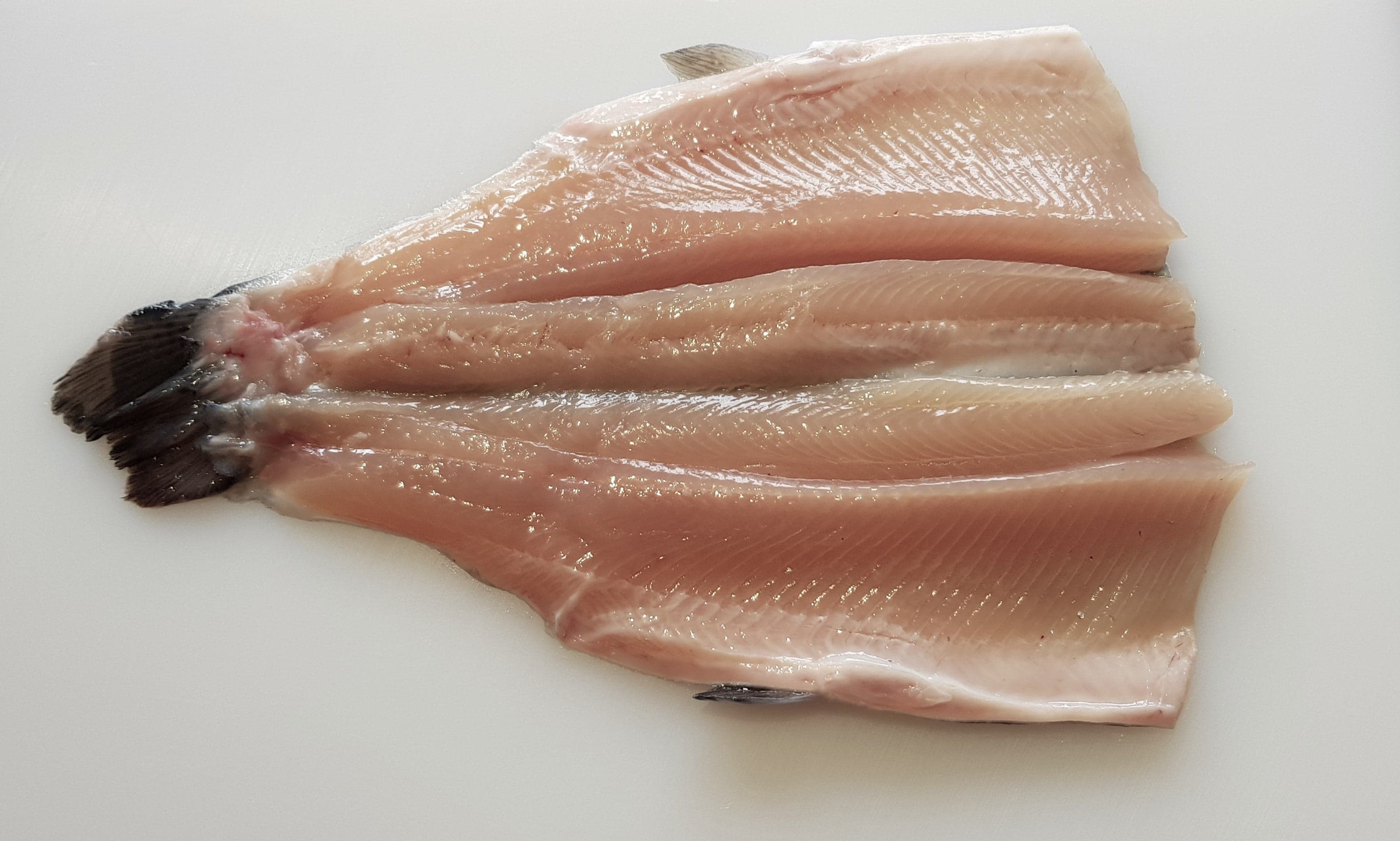 Pin Bone Out Boned Head Removed Fillets