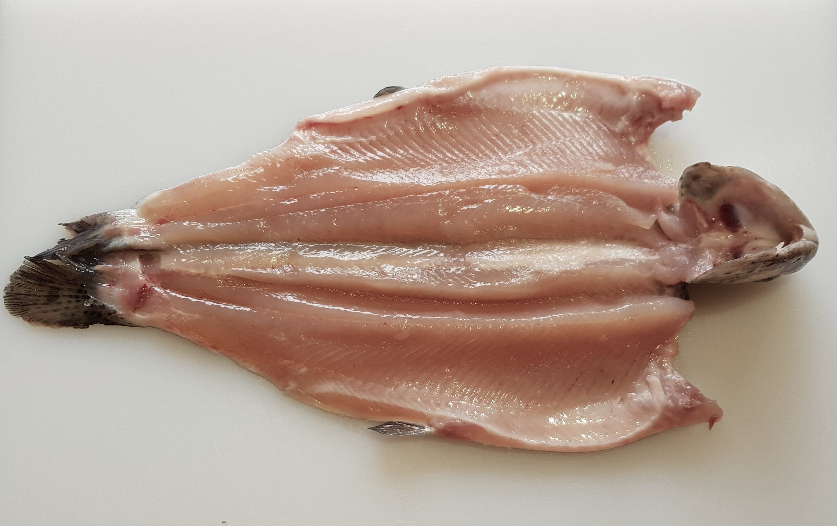 Pin Bone Out Boned Fillets