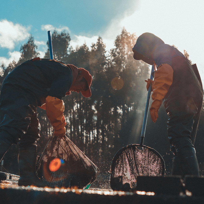 Entre Ríos — farm workers